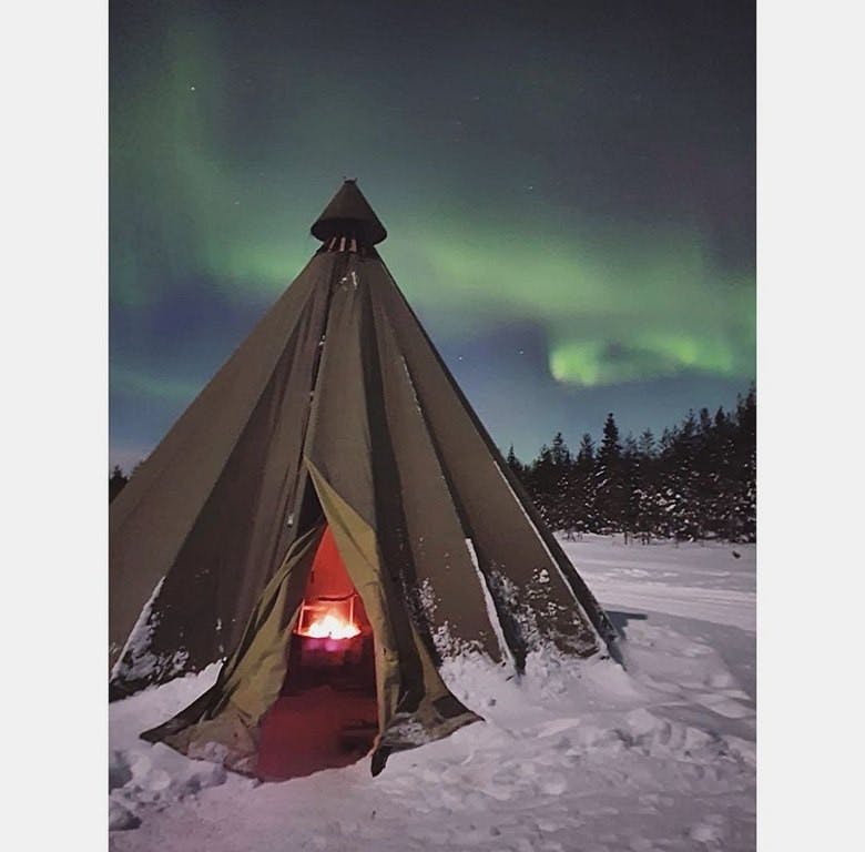 Tour notturno dell'aurora boreale e degli husky ad Apukka