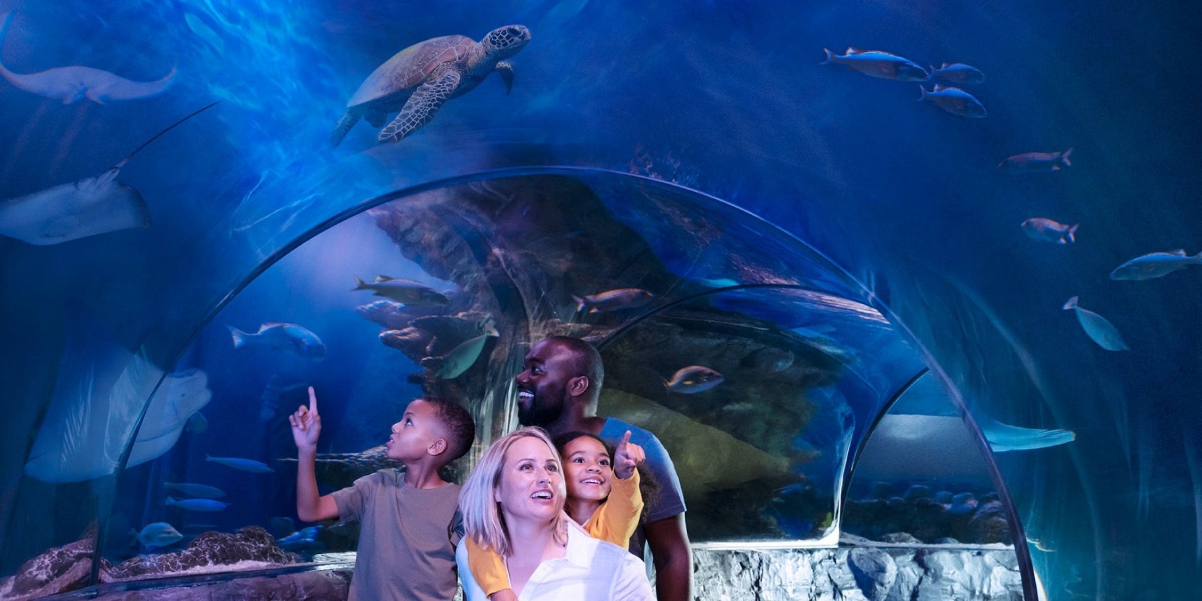 Biglietti per Madame Tussauds, Sea Life Aquarium Orlando e Virtual Reality Experience