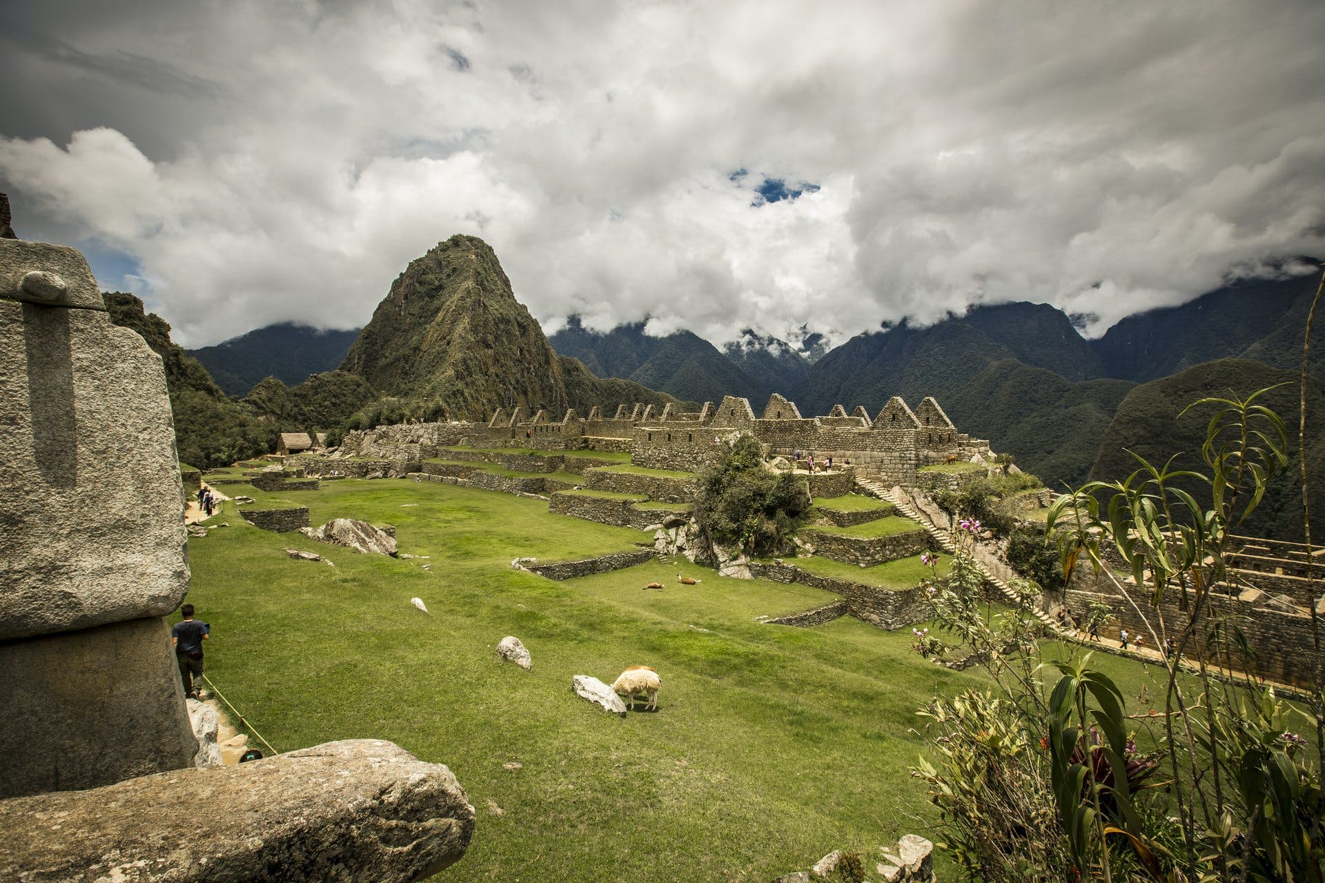 Tour guidato di un'intera giornata al treno voyager di Machu Picchu (IncaRail).