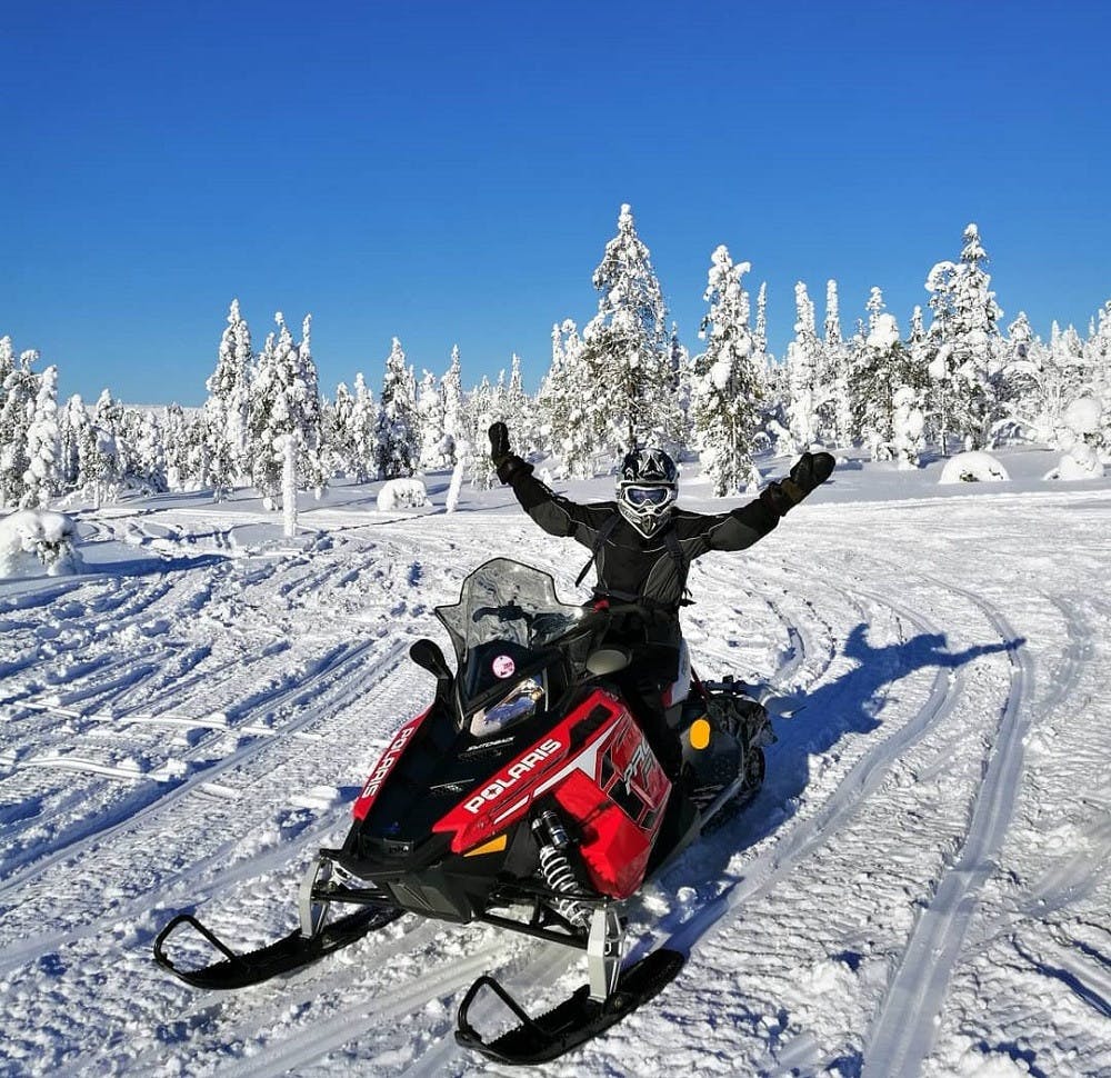 Safari di un'intera giornata in motoslitta nella foresta del Circolo Polare Artico