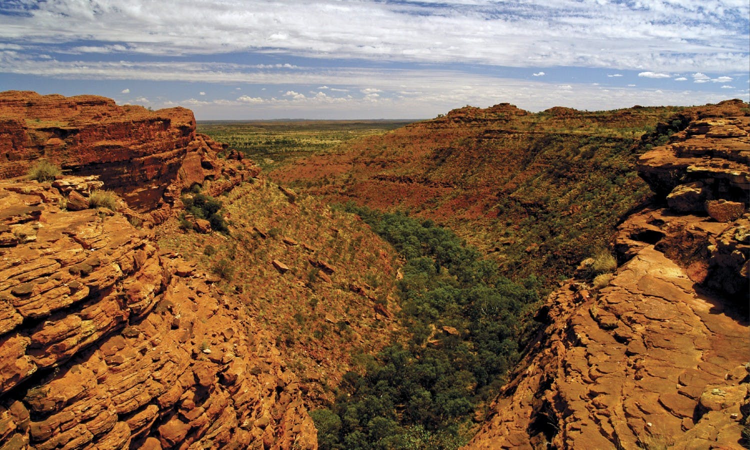Panorami di Kings Canyon e Outback