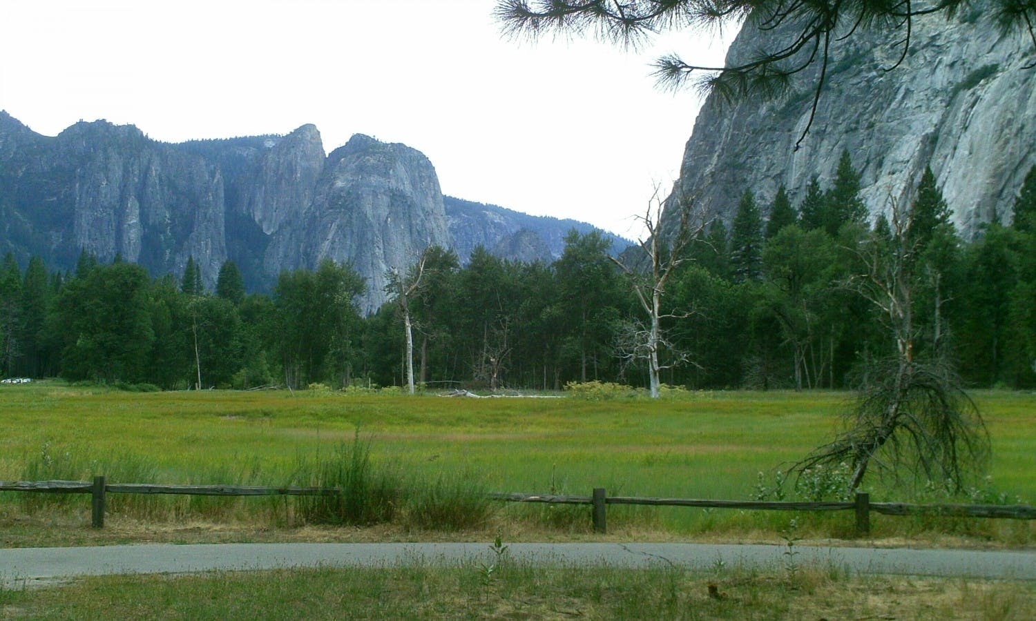 Tour di un'intera giornata allo Yosemite National Park da San Francisco