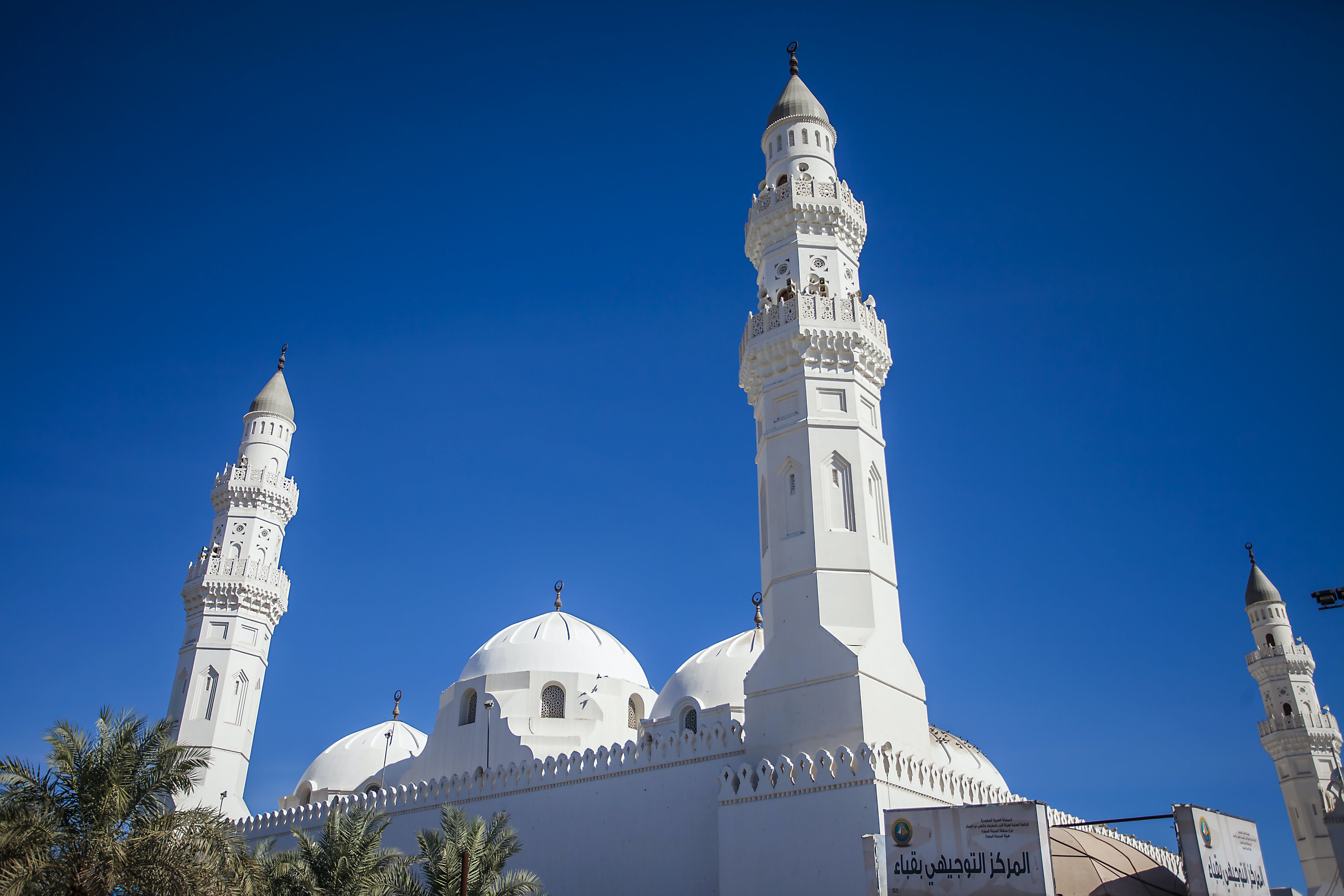Tour religioso di Medina