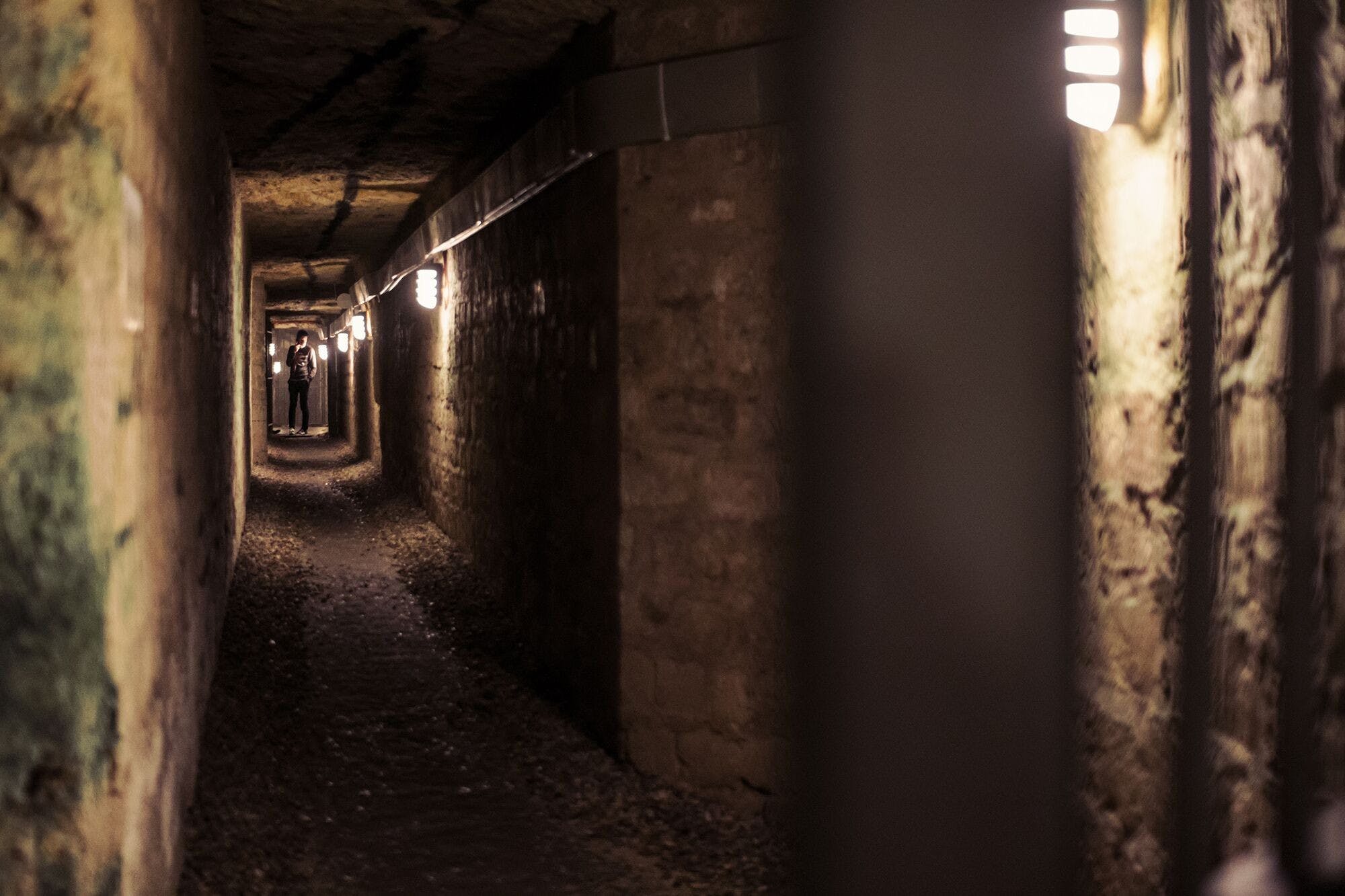 Tour delle catacombe di Parigi con accesso alle stanze segrete