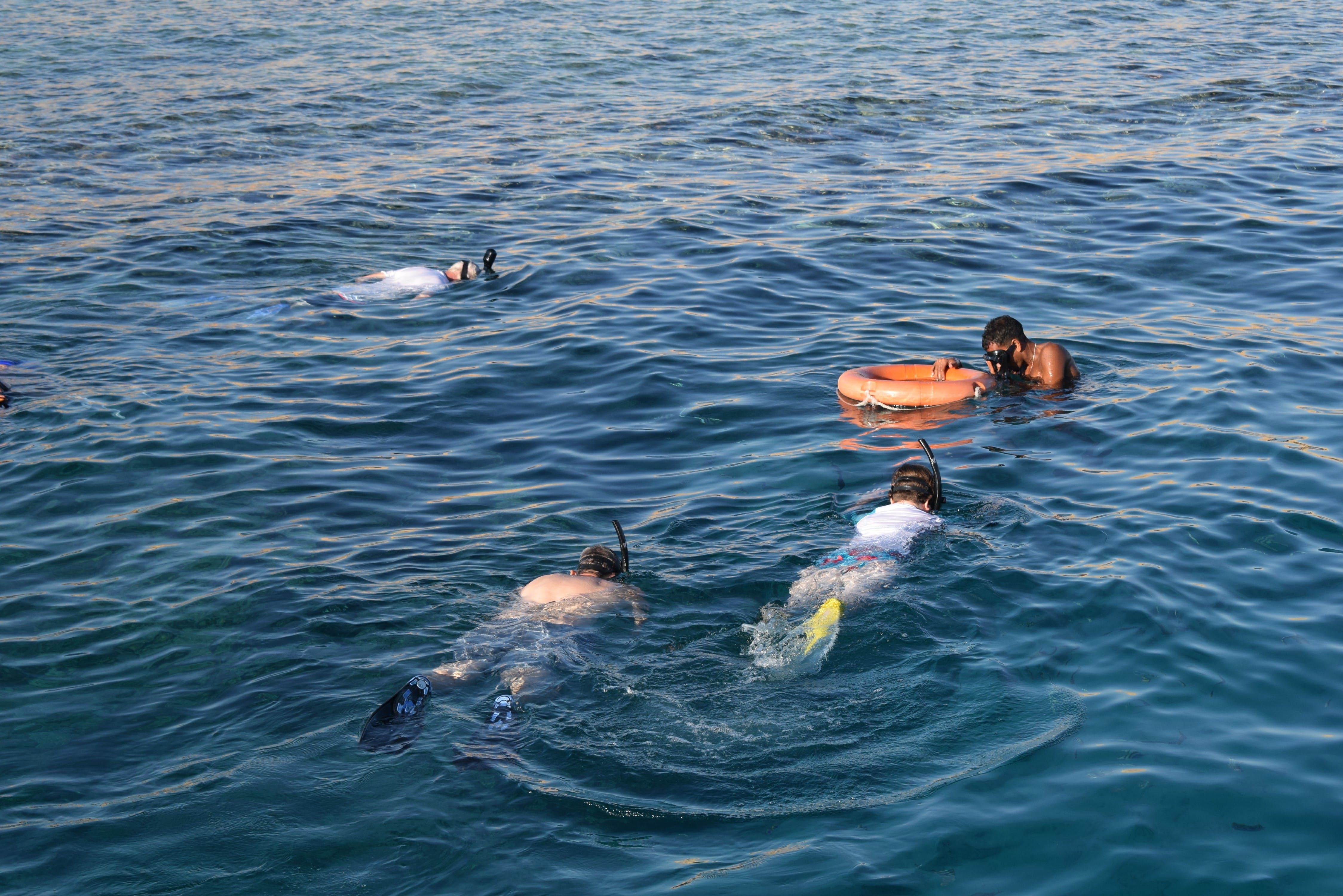 Gita in barca di snorkeling di mezza giornata a Sharm El Sheikh con pranzo e bevande