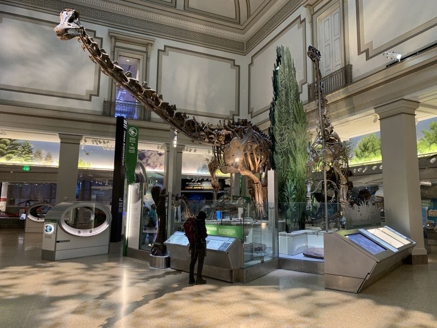 Biglietti e visita guidata per il Museo Nazionale di Storia Naturale Smithsonian di Washington DC